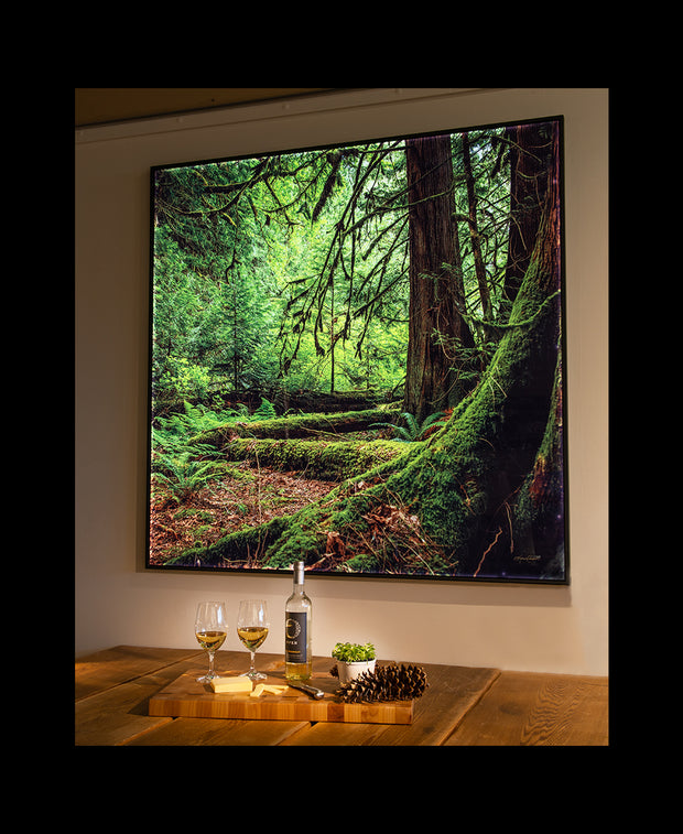 A wine and cheese spread in front of a large, square backlit image. A forest scene of emerald green flora and tall, robust moss-covered old growth trees in Harrison Lake, British Columbia, Canada. 