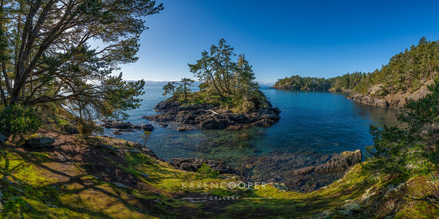 A small rocky island with tall green trees in the middle of the ocean, photo overlooking moss covered rocky rugged cliff on Vancouver Island 