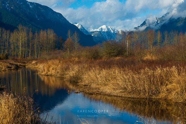 Snow-capped mountain peaks overlook golden fall grasses, boreal trees, and a clear, still river 