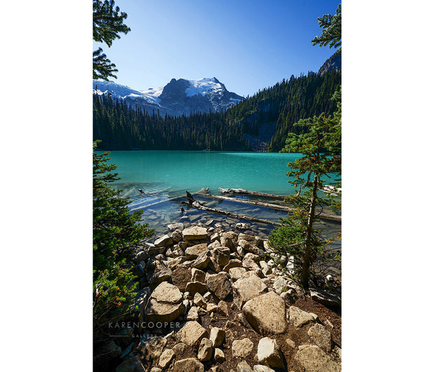 A rocky shoreline leading to driftwood covered turquoise waters, whose shores are dominated by tall hills of evergreen trees, overshadowed by the snow capped mountains near Pemberton. Clear, blue skies and the entire scene is brightened by the afternoon sunlight. 