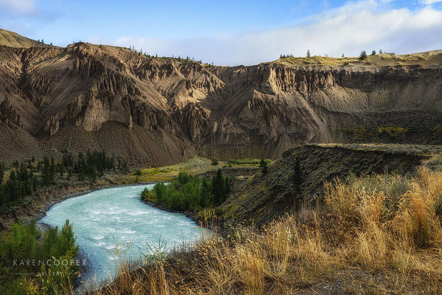 A rushing, turquoise river running through a sandy-coloured, eroded canyon with yellow grasses and small trees in Northern British Columbia