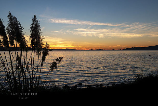 Tall grass plants along the shoreline of English Bay at sunset