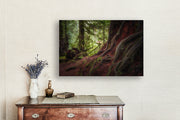 Enchanted Forest No. 2