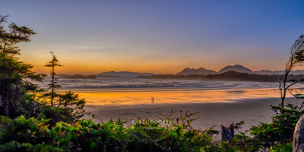 Whispers of the Sea