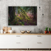 Enchanted Forest No.4