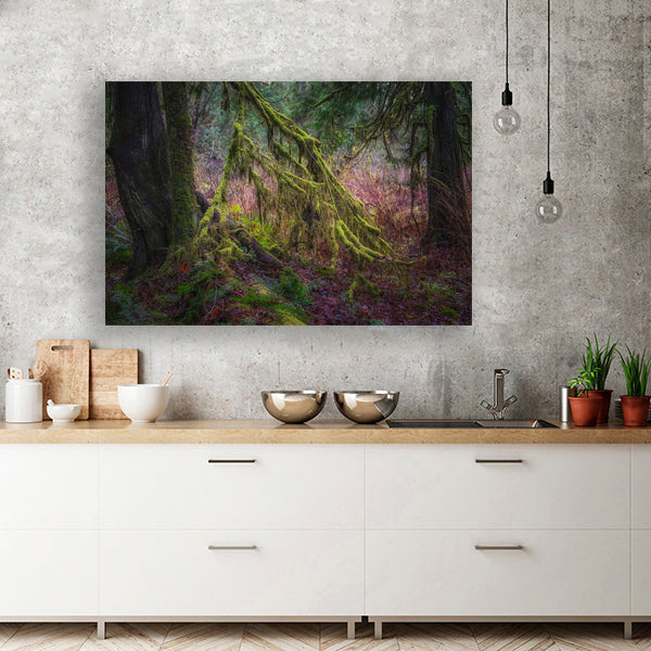 Enchanted Forest No.4