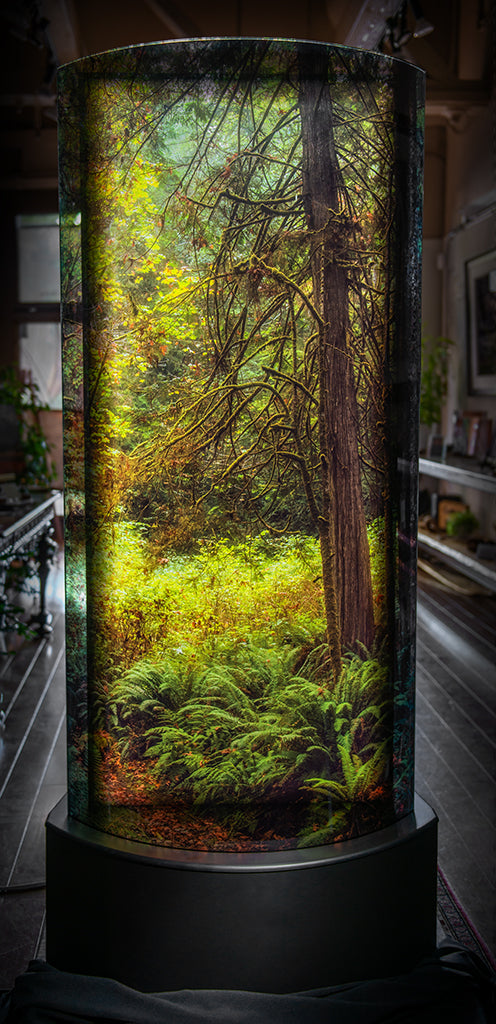 Luminous Journey: Curved Photolucents®
