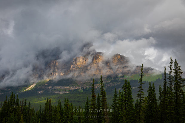 Thick grey storm clouds unveiling the ancient and rugged peaks of Banff's Castle Mountain, framed by thin, tall evergreens. 