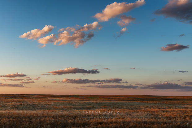 Elongated clouds stretched across a large blue sky striped with vibrant hues of orange and red. Below are a large scape of prairie grasses in green and bronze. 