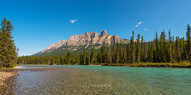 Panorama of Banff's Castle Mountain on a sunny, clear sky day. It has grey, rounded peaks and overlooks a tall evergreen forest and clear, rippling river. 
