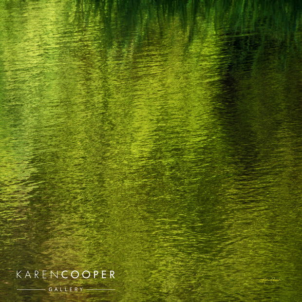 Reflection of green grasses in a detail shot of water 