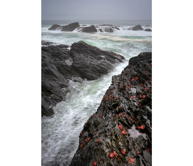 Fine art luxury nature landscape contemporary photography by Karen Cooper Gallery A stormy sea and grey sky with large waves crashing against the black rocks of the shoreline, with some covered in red seaweed on a stormy day on West Coast Vancouver Island British Columbia Canada 