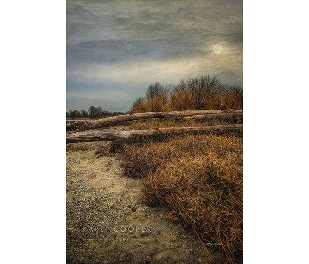 two logs laying across rocky, sandy beach and grass at sunset, on a cloudy day.