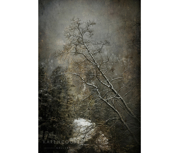  trees with snow against a mountain