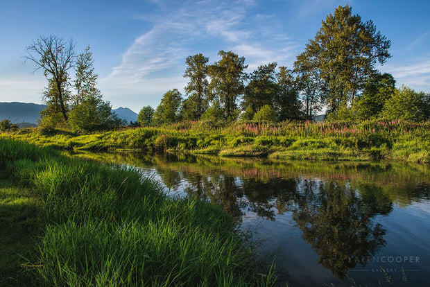 Fine art luxury nature landscape photography by Karen Cooper Gallery in Vancouver British Columbia Canada. Blue water reflecting purple flowers and trees along bank in British Columbia 