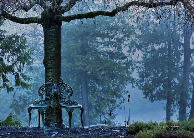 Two chairs against a tree upon a small cliff on a rainy day. Two trees visible in the background. 