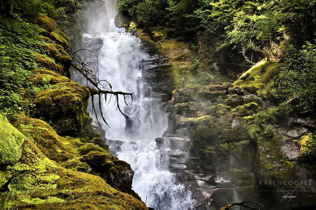 A rushing waterfall flowing through a rocky cliff covered in green and yellow moss, and green trees. 