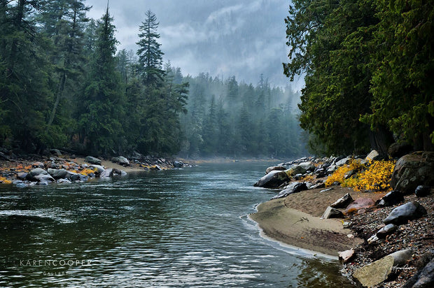 Still river with small, frequent ripples  on a misty day with rock-filled shorelines and dominated by lush, tall evergreen trees 