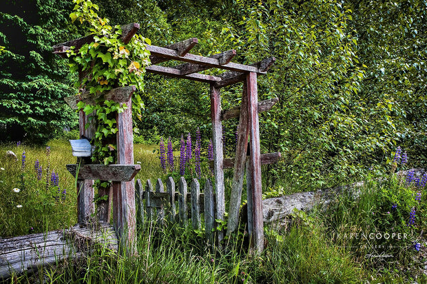 An overgrown, wooden gate leading into a meadow of purple and white wildflowers and a small canopy of lush trees. 