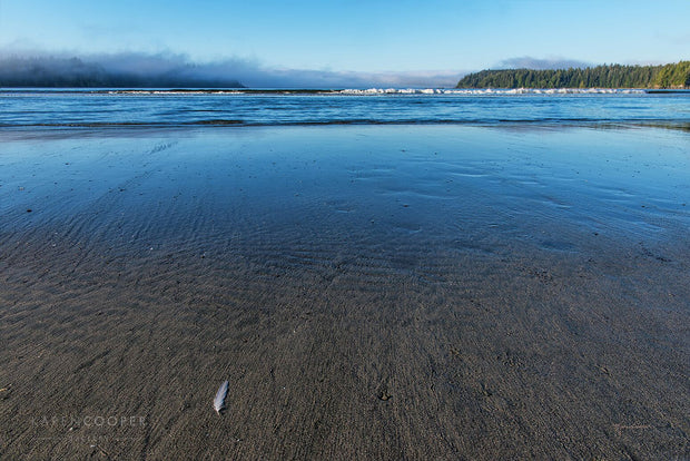 feather laying on sandy beach with waves crashing in background