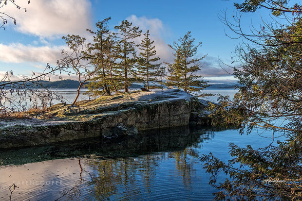  rock outcrop with trees in blue water and sunrise