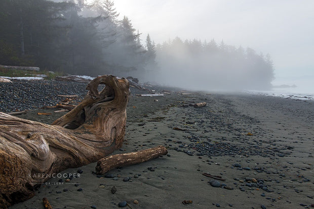 A large, gnarled piece of driftwood juts out onto the scene of a rocky, sandy beach on a misty morning, with tall trees just barely visible in the distance. 