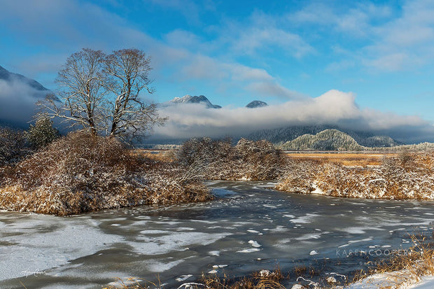 A frozen stream with frost covered trees and brush. Background is filled with frost covered mountains engulfed by thick cloud cover in winter in British Columbia 