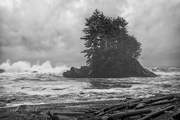 Black and white of a stormy seas, large waves crashing onto a small rocky island in the centre, covered in a few tall evergreen trees. Sandy shoreline in foreground covered in driftwood. 